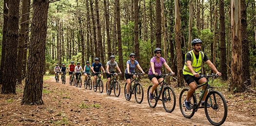 Circuitos de Bicicleta